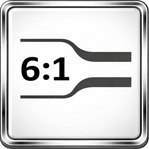 6 1