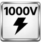 1000v